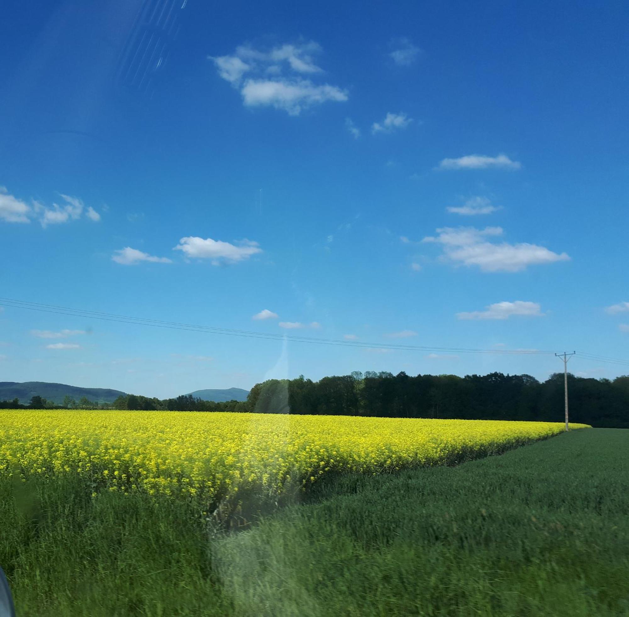 Agroturystyka "Jagap" Oaza Spokoju Dzierzoniow Exterior photo