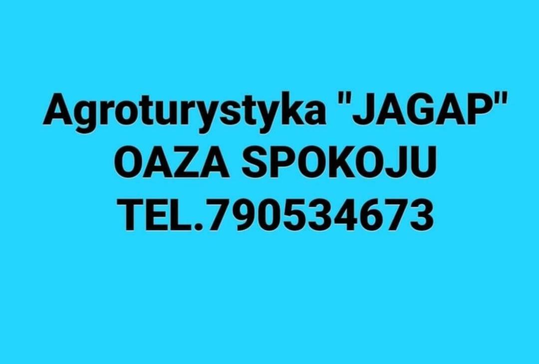 Agroturystyka "Jagap" Oaza Spokoju Dzierzoniow Exterior photo