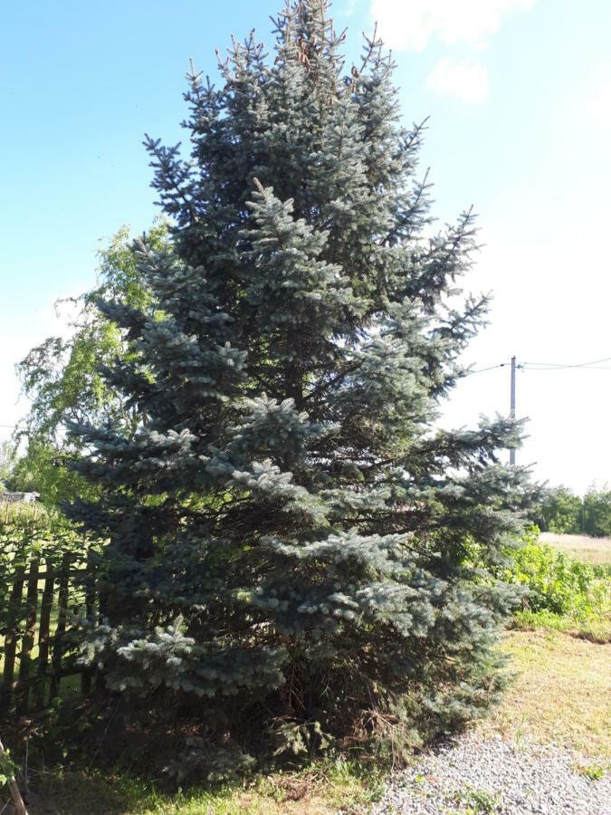 Agroturystyka "Jagap" Oaza Spokoju Dzierzoniow Exterior photo