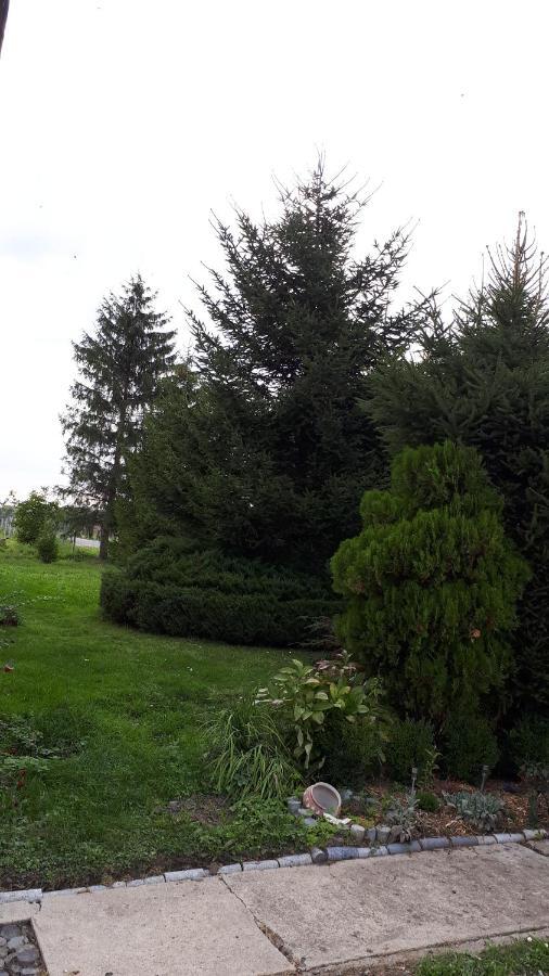 Agroturystyka "Jagap" Oaza Spokoju Dzierzoniow Exterior photo